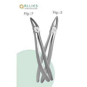 Forceps d'extraction dentaire 2026 de fabrication pakistanaise, modèle anglais, en acier, équipement dentaire, forceps d'extraction dentaire - Product Image 1