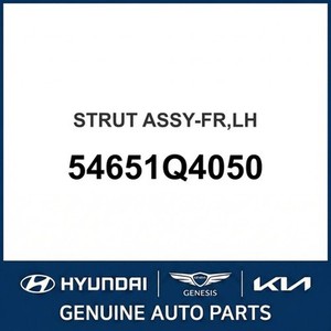 Nouveaux amortisseurs et vérins Niro, gauche 54651Q4050 - Product Image 1