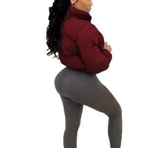 Vente en gros de manteaux en duvet pour femmes personnalisés et à la mode en tissu épais vestes chaudes d'hiver veste polaire à la mode pour dames 2026 - Product Image 6