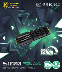Unidad de Estado Sólido AITC KINGSMAN PCIe Gen 5 de 4 TB con Caché DRAM para PC de Juegos - Product Image 2