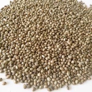 Organic Hemp Seed Oil 300-400 USD/Ton MOQ 10MT Export Quality Hemp Oil Bulk Supply Food and Health Grade - Product Image 6