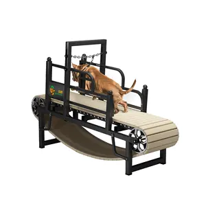 Custom Quality Large Dog Treadmills Slat Mills For Dogs Training Equipment Noiseless