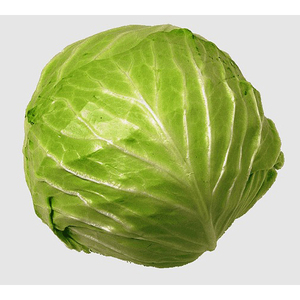 Vegetales Frescos de Alta Calidad, Apio Verde y Repollo a Precio Económico de Fabricante - Product Image 3