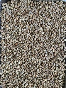 OFERTA ESPECIAL: Granos de Café Robusta Tostados de Vietnam, 1KG y 50KG, Venta al por Mayor, Etiqueta Privada para Compradores, Se Acepta OEM y ODM - Product Image 4