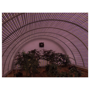 Lámpara LED de Cultivo de Espectro Completo de 16W para Plantas, de Excelente Calidad y Precios Excepcionales, para Cultivo Vertical Hidropónico - Product Image 1