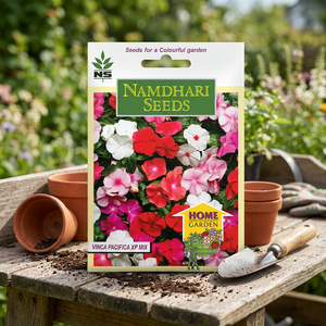 Graines de Vinca Pac XP Mix, Graines de fleurs séchées multicolores, vibrantes, verticales, résistantes à la chaleur, pleine floraison, origine indienne - Product Image 3