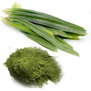 Colorante Alimentario 100% Natural y Ecológico |   Polvo de Hoja de Pandan Verde Natural de Alta Calidad al por Mayor - Product Image 6