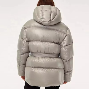 Offre Spéciale brillant épais chaud hiver recadrée doudoune grande taille manteau Streetwear classique fermeture éclair femmes bouffant veste à capuche - Product Image 2