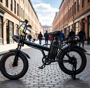 Bicicleta Eléctrica de Carga para Adultos con Neumáticos de 20x4 Pulgadas, Batería de Litio de 48V 20Ah y Motor sin Escobillas - Product Image 6