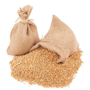 Graines d'orge de qualité supérieure / Alimentation animale en vrac, Orge maltée, Grain de malt DE d'origine allemande, Durée de conservation de 12 mois, En promotion - Product Image 1