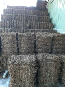 Poudre de gelée d'herbe noire naturelle vietnamienne de haute qualité, ingrédient premium pour pouding, feuilles d'herbe gelifiée séchées - Product Image 4