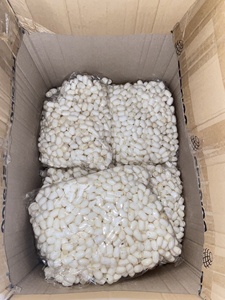 Capullo de Seda Orgánico Biodegradable con Colágeno para el Cuidado Facial - Ecológico, Corte 1/3 - Product Image 5