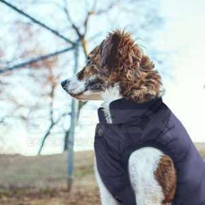 Chaqueta Moderna Ligera y Transpirable para Mascotas, Algodón/Poliéster Ecológico, Tela Cómoda de Alta Calidad, Ropa de Invierno para Mascotas Pequeñas - Product Image 4
