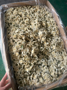 ชาดอกเบญจมาศขาวเวียดนาม ชาดอกไม้แห้งทั้งดอก สำหรับใช้เป็นเครื่องดื่มประจำวัน ดอกตูมแห้ง จำหน่ายจำนวนมาก - Product Image 6