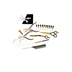 Kit d'outils capillaires micro-anneaux étanche doré en acier inoxydable, comprenant des pinces à micro-anneaux, des aiguilles à boucle, des ciseaux de sectionnement et un peigne, pour salon - Product Image 2