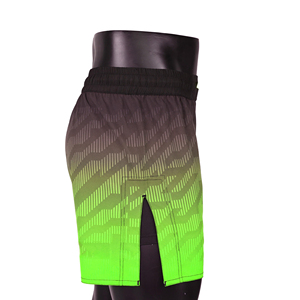 Pantalones cortos de gimnasio para hombre con estampado personalizado, con bolsillo para teléfono, de secado rápido, transpirables, para entrenamiento y correr, sin cremallera - Product Image 2