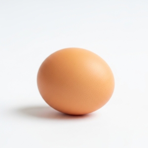 Huevos Frescos de Gallina Blancos y Marrones de Granja, con Cáscara Natural, para Exportación a Granel, Empacados en Cajas Resistentes para Importadores y Compradores - Product Image 1