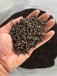 Poivre noir 500 g/l FAQ Prix bas pour l'Afrique Vente en gros Qualité export Sophie 84964540475 - Product Image 5