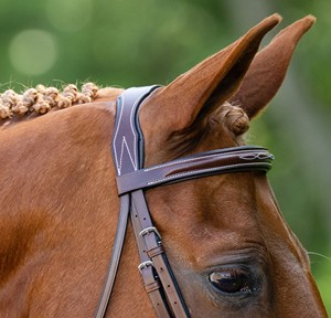 Brida de Cuero para Caballo al por Mayor con Riendas, Resistente, Duradera y Cómoda para Entrenamiento y Competición - Product Image 5