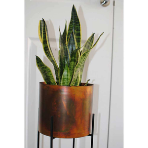 Maceta Decorativa para Orquídeas Hecha a Mano, Maceta de Jardín para Interiores, Exportador Indio, Alta Calidad - Product Image 5