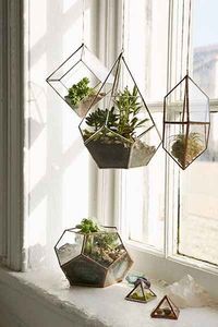 Hanging Geometric Glass Terrarium <b>Plants</b> - Product Image 6