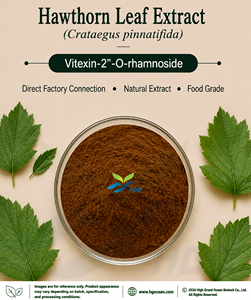 Suministro directo de fábrica de HGO, extracto de hoja de espino natural puro (Crataegus pinnatifida), 1% - 15% "-O-rhamnoside - Product Image 1