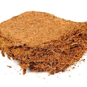 Sustrato de cultivo de turba de coco natural para plantas de vivero, jardinería, agricultura y uso hortícola - Product Image 2