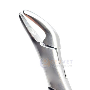 Forceps d'extraction dentaire manuels en acier inoxydable réutilisables, haute qualité, en stock - Product Image 5