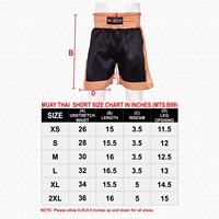 Blaze Fight Wear Arts martiaux Shorts thaïlandais pour adultes Muay Trunks Gym Training Kickboxing MMA Fitness Running Boxe Sport Wear