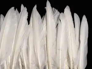 Plumas de Pato Teñidas de Calidad de Exportación, Cuidadosamente Seleccionadas, Lavadas y Teñidas para Manualidades, Sombrerería, Bodas y Uso Decorativo - Product Image 3