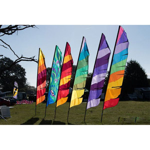 Banderas Decorativas a Rayas de Colores para Eventos y Festivales - Product Image 4