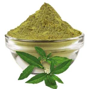 Poudre de Bhringraj de qualité export, poudre de Bhringraj naturelle à base de plantes, utilisée dans les masques capillaires et les soins capillaires à base de plantes, fournisseur en gros d'Inde - Product Image 5