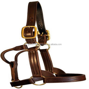 Halter en cuir rembourré marron triple couture robuste dans toutes les tailles et couleurs personnalisées avec quincaillerie en laiton réglable - Product Image 1