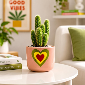 Maceta de Terracota con Diseño de Corazón Rosa Pálido, Hecha a Mano, Decorativa, con Orificio de Drenaje para Plantas de Interior, Sala de Estar - Product Image 1