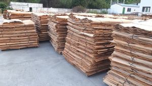 Chapa de madera en oferta - chapa de madera de acacia/pino/teak/caucho secada al horno - chapas de caucho para la fabricación de madera contrachapada - Product Image 5