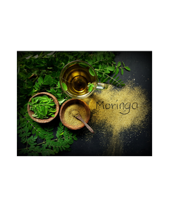 Poudre de feuilles de Moringa Oleifera 100% naturelle et biologique, pressée à froid, moutonnée finement, emballée en bouteille, exportée du Vietnam, complément alimentaire - Product Image 4