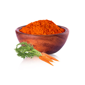 Poudre de carotte biologique déshydratée pour l'industrie alimentaire et la fabrication de compléments alimentaires à base de plantes - Product Image 2