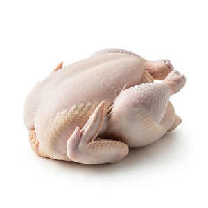 Pollo Entero Congelado IQF Premium, 100% Halal, Calidad de Exportación, Cajas Seguras, Importadores Principales, Suministro de Aves de Corral al por Mayor - Product Image 3