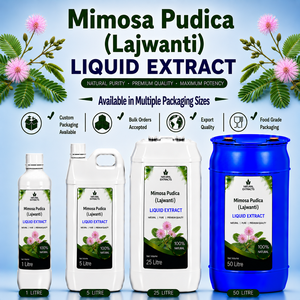 Mimosa Pudica Liquid Extract Lajwanti <b>Herbal</b> <b>Supplement</b> Oral Liquid Natural Pure Bulk Supply Custom Packaging - Product Image 1