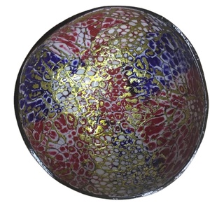 Wholesale High Quality Colored <b>Coconut</b> <b>Shell</b> Bowls Competitive Price Lacquer Bowls Handmade Gift <b>Coconut</b> Bowl Set - Product Image 6