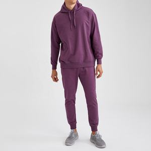 Conjunto Deportivo para Hombre de Alta Calidad, 100% Algodón, Felpa Sólida, Secado Rápido, Ecológico, Corte Regular, Sudadera con Capucha y Pantalones Jogger con Cierre de Cremallera - Product Image 1