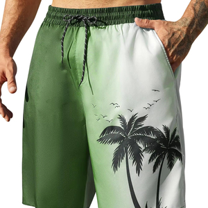 Men Drawstring <b>Shorts</b> Tropical Floral Print Elastic Waist Beach Summer Casual Holiday Colorful Lightweight top mens summer beach - Product Image 1