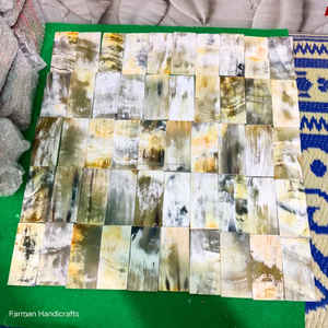 Plato Decorativo de Cuerno Blanco Hecho a Mano, Plato Natural para Servir y Exhibir a Precio Económico - Product Image 6