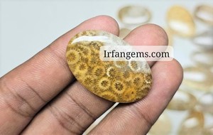 Lot de cabochons en corail fossile 100 % naturel, pierres précieuses polies pour la fabrication de bijoux, l'artisanat thérapeutique et les commandes personnalisées - Product Image 1
