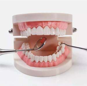 Kit d'examen dentaire, miroir de blanchiment des dents, curette, pinces, ensemble d'examen dentaire de base 3 pièces, certifié CE par Grip Surgical - Product Image 2