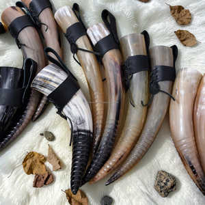 Polished <b>Buffalo</b> <b>Horn</b> Natural Shape Rustic Home Decoration Durable Crafted <b>Horns</b> At Best Price - Product Image 2