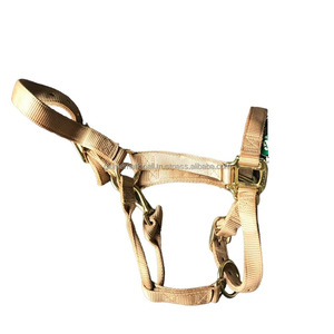 Export Quality extra comfort Nylon Horse halter in full cob over sizes with adjustable nickel or brass variant hardware - Product Image 1