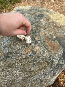 Handmade Eco-Friendly Bone <b>Dice</b> Set Modern Gaming Accessories - Product Image 2