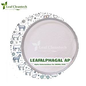 Alpha galactosidase enzyme สำหรับอาหารสัตว์-ลดปัจจัยต่อต้านโภชนาการ-ปรับปรุงสุขภาพลำไส้อินเดีย | เอนไซม์อาหารสัตว์ | - Product Image 1