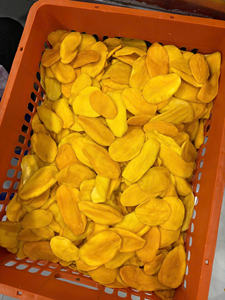 Mango Deshidratado Natural, Snack de Mango, Ingrediente para Repostería, Smoothies y Postres, Suave y Masticable, Venta al por Mayor, Vietnam - Product Image 5